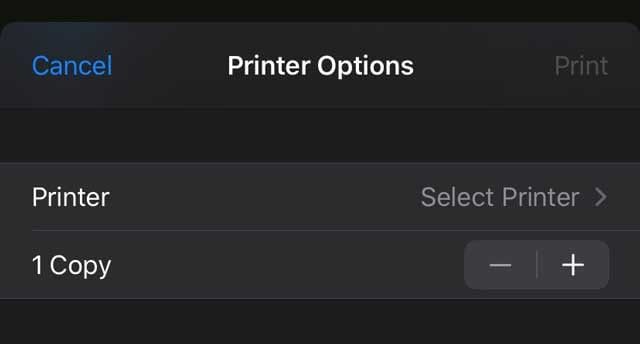 options d'imprimante AirPrint sur iOS et iPadOS