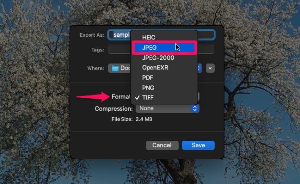 Comment convertir des images WebP en JPG sur Mac