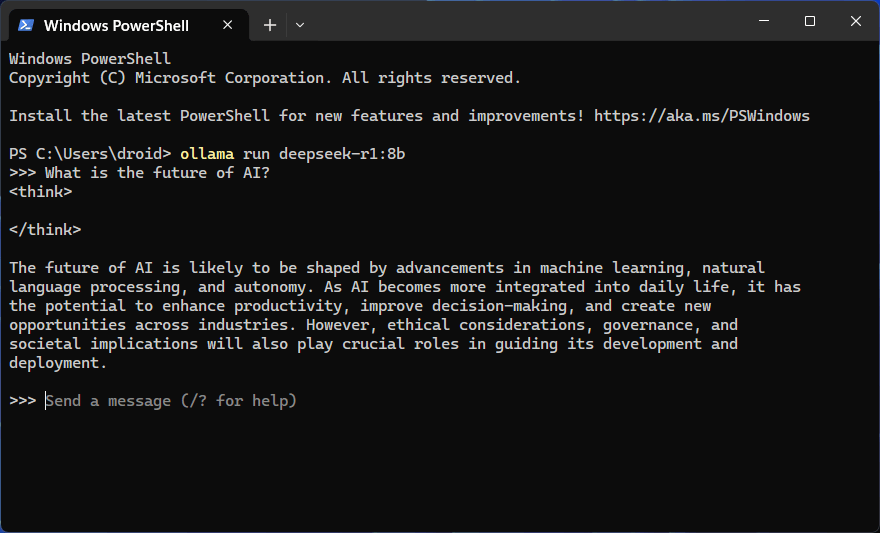 discuter avec deepseek r1 via la fenêtre du terminal