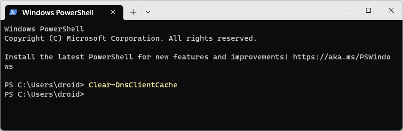 vider le cache DNS dans Windows PowerShell